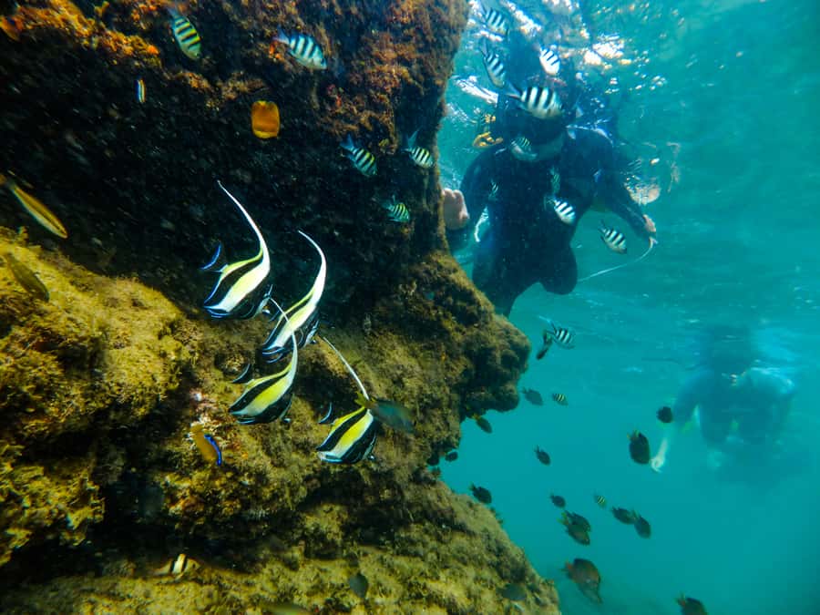 St. Lucia: Cape Vidal Snorkeling Adventure - Beach briefing and gear fitting