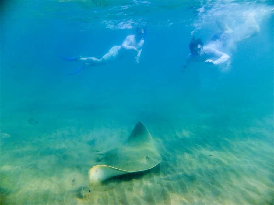 St. Lucia: Cape Vidal Snorkeling Adventure - A shipwreck with a gold-searching tale