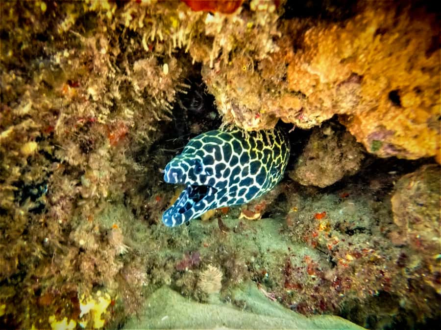 St. Lucia: Cape Vidal Snorkeling Adventure - A low-tide start changes the schedule