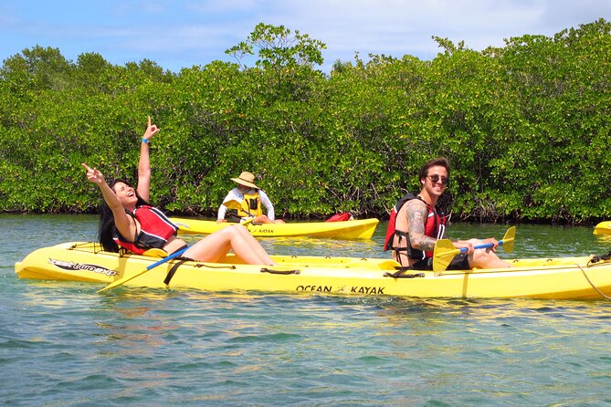 St Thomas Mangrove Lagoon Kayak and Snorkel Tour in the US Virgin Islands - Why Mangrove Lagoon makes a good St. Thomas outing
