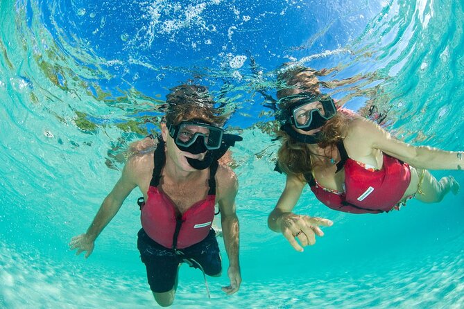 St Thomas Mangrove Lagoon Kayak and Snorkel Tour in the US Virgin Islands - Snorkeling among mangrove roots and marine life