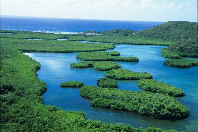 St Thomas Mangrove Lagoon Kayak and Snorkel Tour in the US Virgin Islands - Cas Cay and the optional land portion