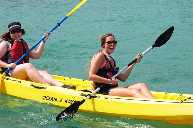 St Thomas Mangrove Lagoon Kayak and Snorkel Tour in the US Virgin Islands - What $89 gets you
