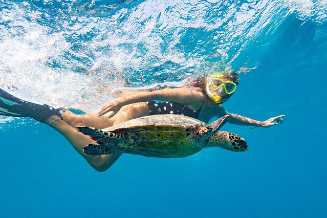 St Thomas Mangrove Lagoon Kayak and Snorkel Tour in the US Virgin Islands - Who will enjoy this tour most