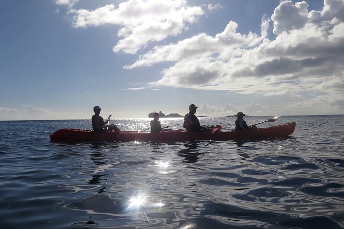 St Thomas Sea Turtle Snorkel Kayak Adventure Tour - Why this St. Thomas turtle tour works so well