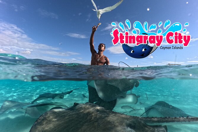 Stingray City and Starfish Experience with Coral Reef Snorkeling - Coral Garden brings the best fish viewing