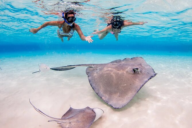 Stingray City and Starfish Experience with Coral Reef Snorkeling - The crew makes the biggest difference