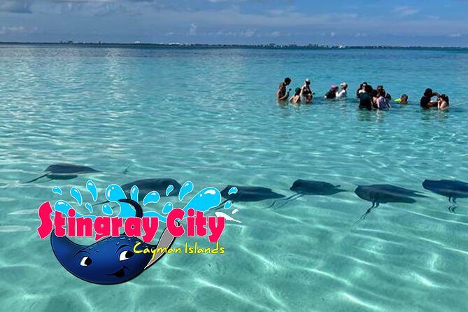 Stingray City and Starfish Experience with Coral Reef Snorkeling - Timing matters on a cruise day