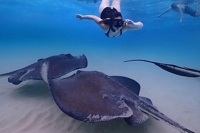 Stingray City and Starfish Experience with Coral Reef Snorkeling - Who will enjoy this tour most