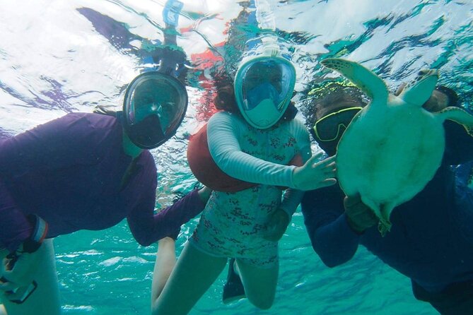 Stingray City Experience Plus One Snorkeling Stop - Should you book this Stingray City tour?