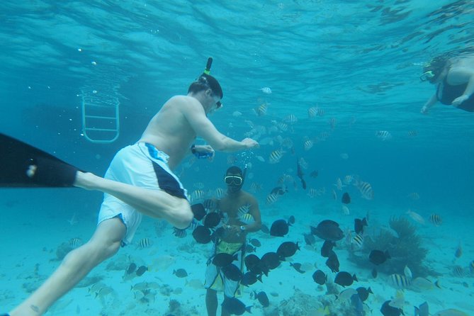Stingray City Experience Plus Two Snorkeling Stops on Grand Cayman - Three Cayman water stops packed into one half-day