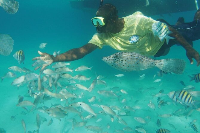 Stingray City Experience Plus Two Snorkeling Stops on Grand Cayman - What the $80 price really includes