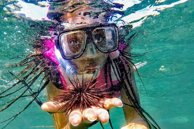 Sun, Sea & Streets: Beach Day + Snorkel Adventure & City Tour - Is $129.99 good value?