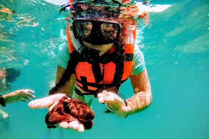Sun, Sea & Streets: Beach Day + Snorkel Adventure & City Tour - Booking details that matter