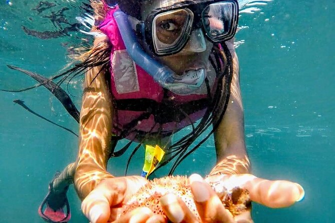 Sun, Sea & Streets: Beach Day + Snorkel Adventure & City Tour - The snorkeling and Roqueta Island question