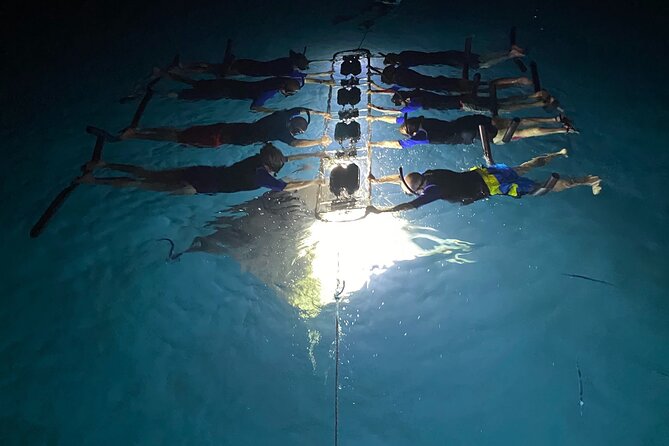 Sunset and Manta Ray Snorkel Adventure - How good is the manta guarantee?