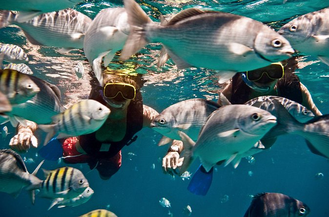Sunset Catamaran and Snorkeling Cruise At Carlisle Bay - Buffet dinner as the sky changes
