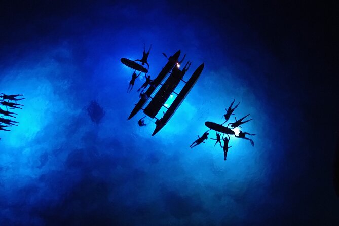Sunset Cruise & Manta Night Snorkeling Charter - Why the private catamaran changes the experience