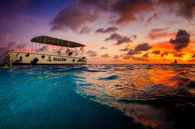 Sunset- night snorkel trip - Leaving Harbour Village Marina at 5:30 pm