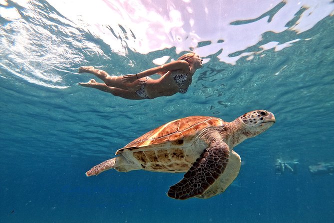 Swim and Snorkel with Sea Turtles - The beach stop gives the day some breathing room