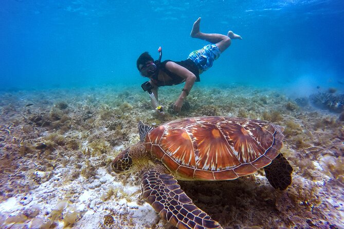Swim & Reef Snorkeling Bonaire - Key points at a glance