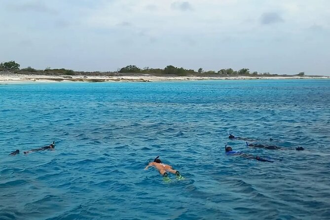 Swim & Reef Snorkeling Bonaire - Setting out from Kralendijk at 9:00 am