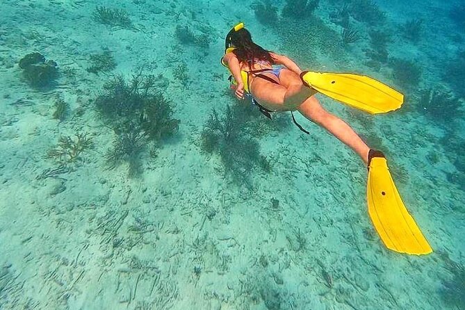 Swim & Reef Snorkeling Bonaire - Little Bonaire, drift snorkeling, and turtles