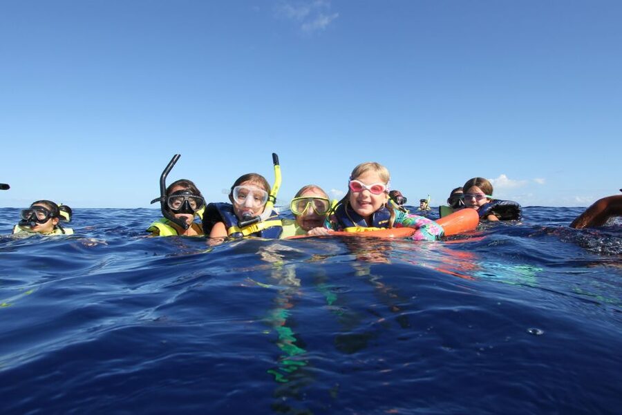 Swim with Wild Dolphins Oahu Speedboat Snorkeling Adventure! - The west coast transfer sets the tone