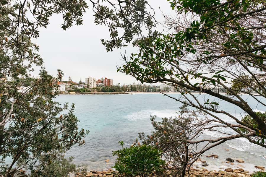 Sydney: Manly and Shelly Beach Snorkeling Tour - Who should book this Manly snorkeling trip?