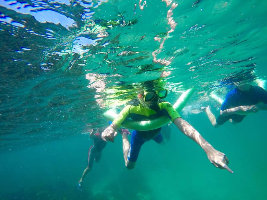 Sydney: Manly and Shelly Beach Snorkeling Tour - Safety briefing and gear fitting