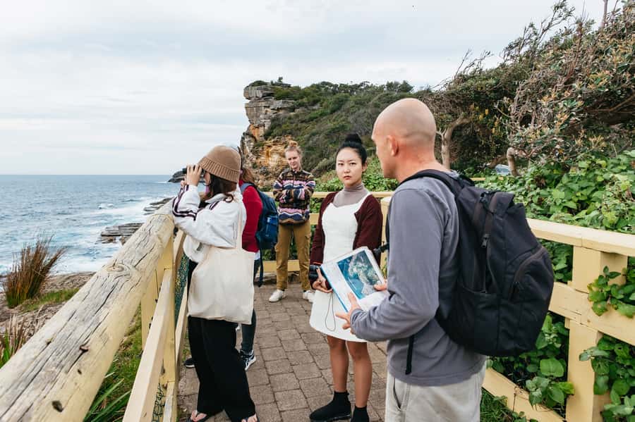 Sydney: Manly and Shelly Beach Snorkeling Tour - One hour among the reefs of Cabbage Tree Bay