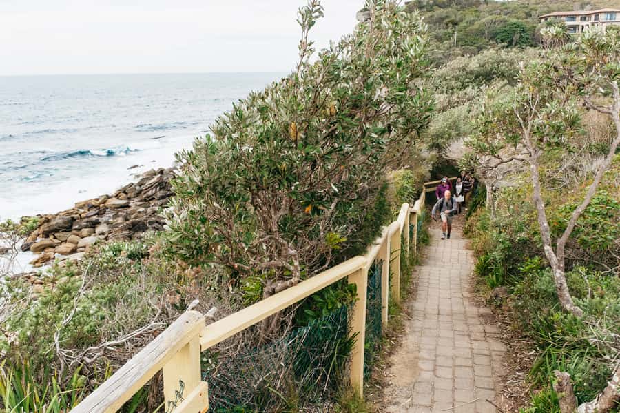 Sydney: Manly and Shelly Beach Snorkeling Tour - What the marine life can teach you