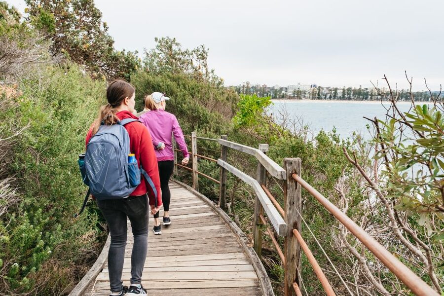 Sydney: Manly and Shelly Beach Snorkeling Tour - Weather, water temperature, and visibility