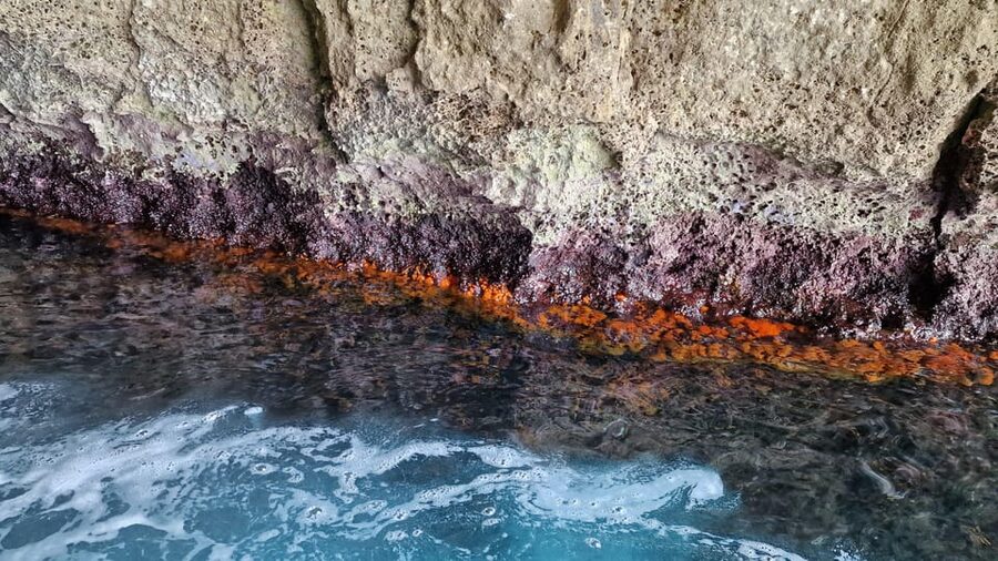 Syracuse:Snorkeling+Pillirina, Ortigia & sea caves boat tour - Guides, group size, and the human side