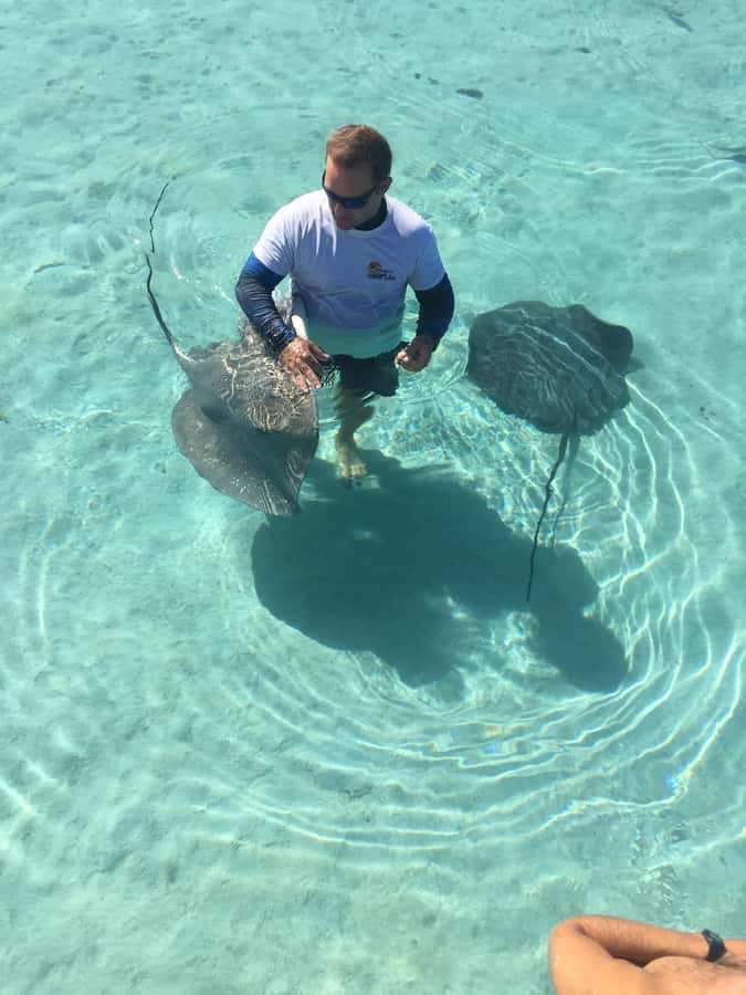 Tahiti island: 4 hours Snorkeling Tour - The Aquarium site and its underwater wrecks