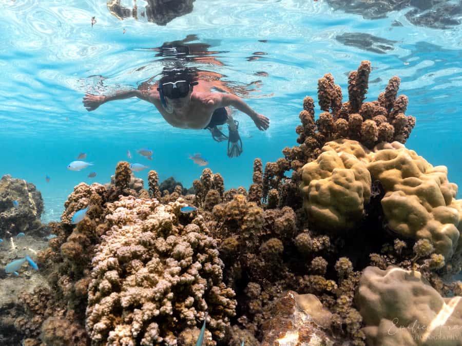 Tahiti island: 5 hours Snorkeling Picnic - Why this five-hour boat trip works