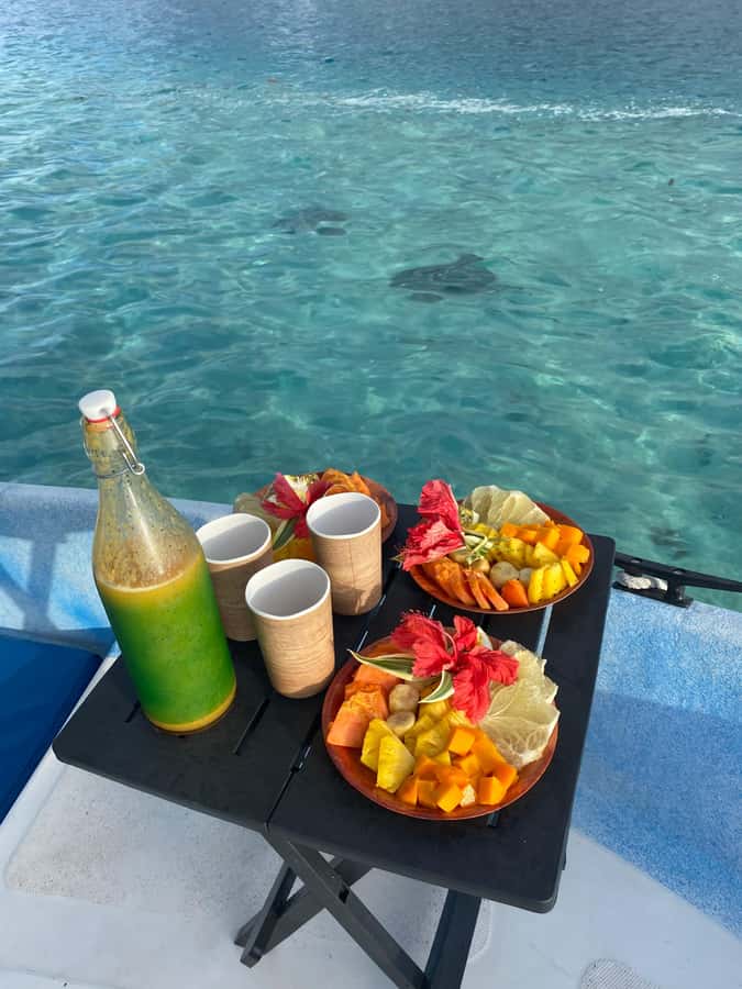 Tahiti island: 5 hours Snorkeling Picnic - The Aquarium site mixes wrecks with tropical fish