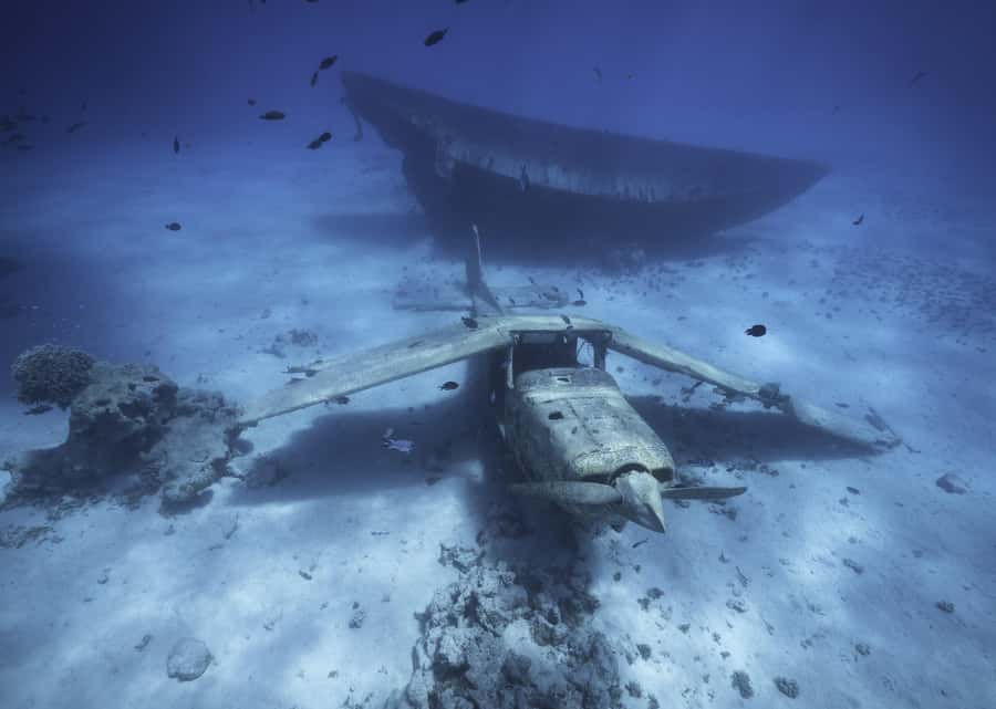 Tahiti island: 5 hours Snorkeling Picnic - What you eat on the sandbank
