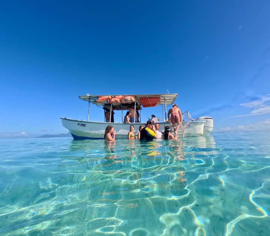 Tahiti island: 5 hours Snorkeling Picnic - Who should book this Tahiti excursion?