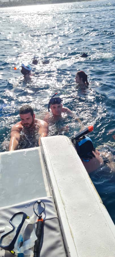 Tamarin: Dolphin Snorkel, CrystalRock, ile o Benitiers Lunch - Crew quality can shape the whole day