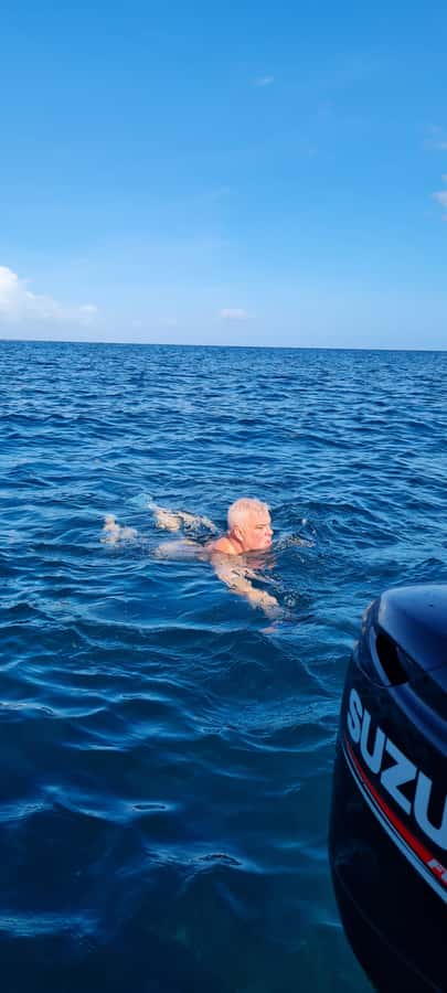 Tamarin: Dolphin Snorkel, CrystalRock, ile o Benitiers Lunch - What the $77 price really includes