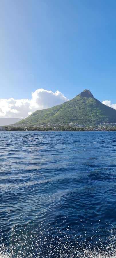 Tamarin: Dolphin Snorkel, CrystalRock, ile o Benitiers Lunch - Who should book this activity?