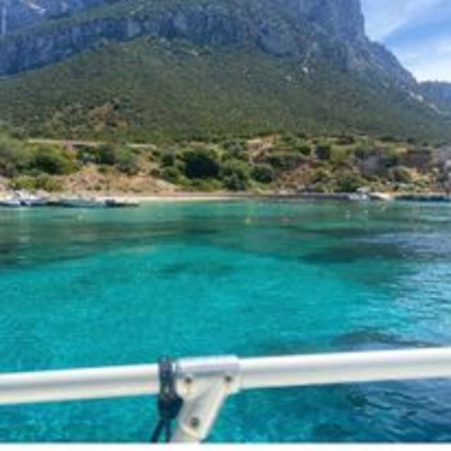 Tavolara, Snorkeling in the Marine Park - Key points to know before you go