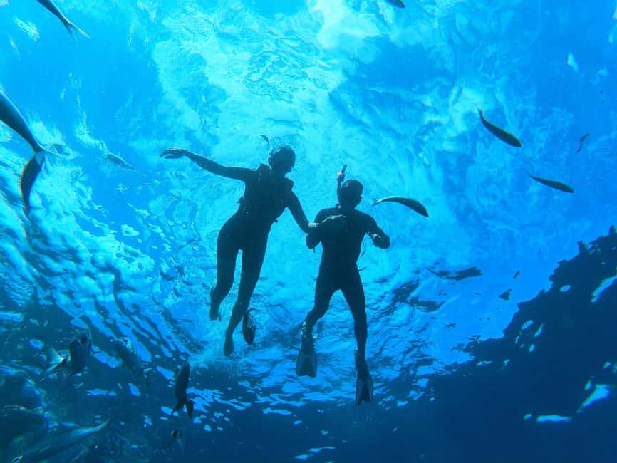 Tenerife: Eco Kayak & Snorkeling - Who will enjoy this most?