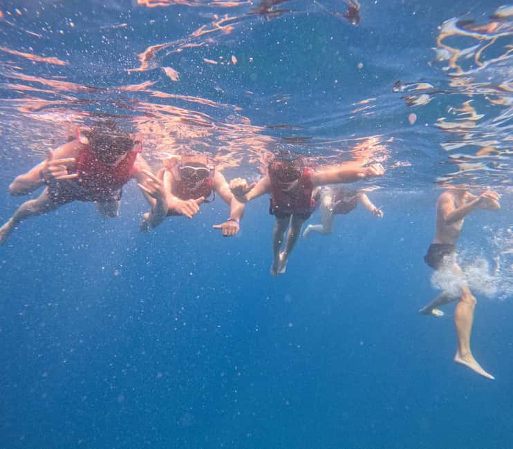 Tenerife: Eco Kayak & Snorkeling - A 30-minute photo stop by the sea