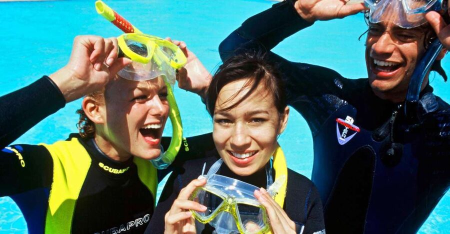 Tenerife Exclusive Snorkeling Trip with Marine Biologist - Key points at a glance