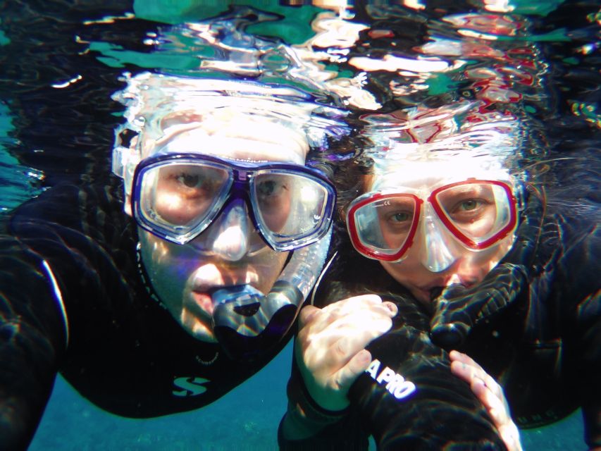 Tenerife Exclusive Snorkeling Trip with Marine Biologist - A snack break with time for questions