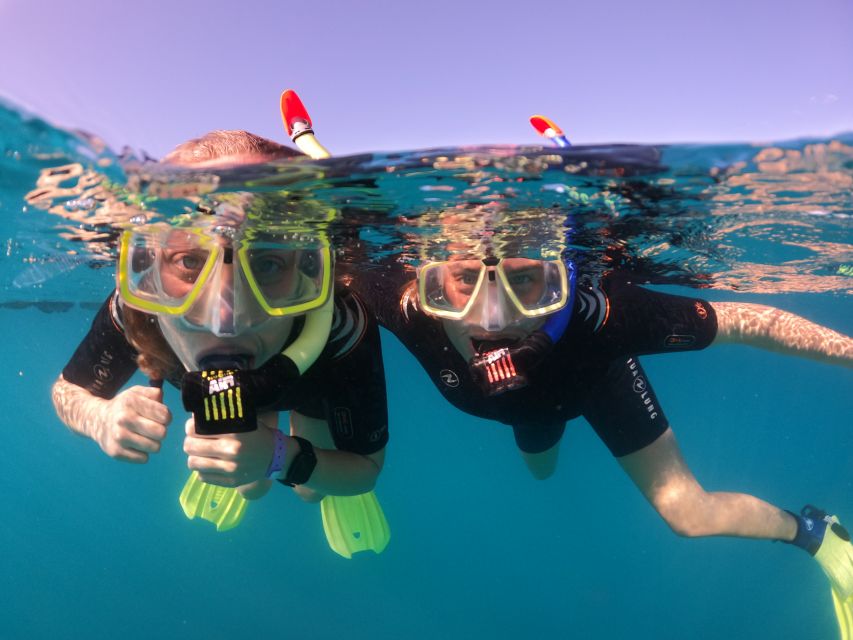 Tenerife: Half-Day Snorkeling Tour - Quick reasons to consider this Abades Bay outing