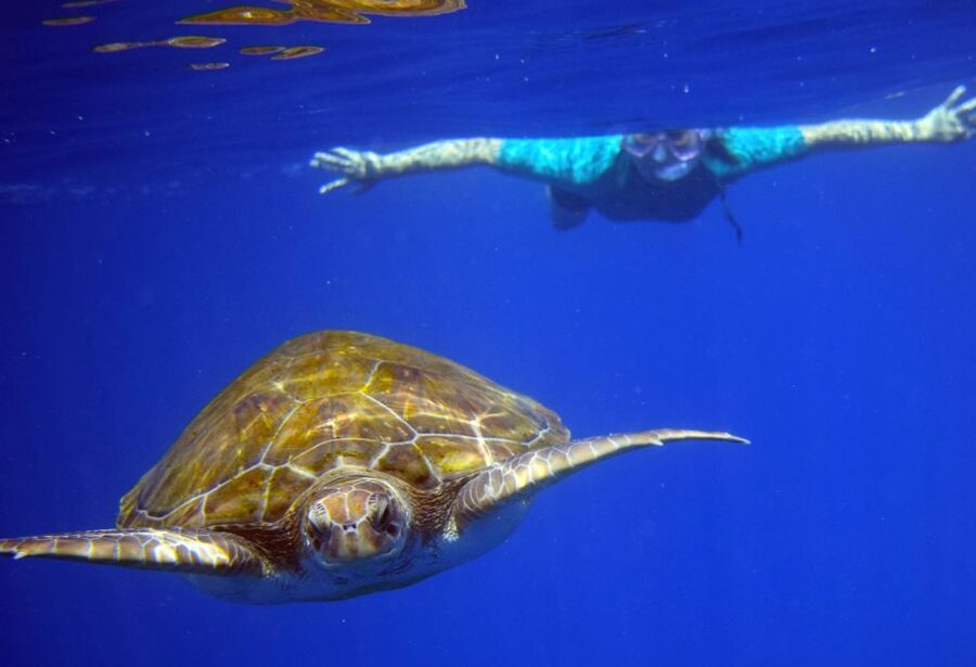 Tenerife: Kayak and Snorkel with Turtles, Wetsuits Included - A practical packing list