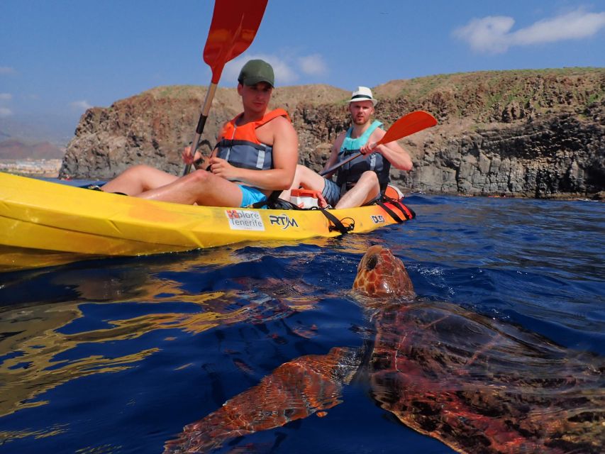 Tenerife: Kayak and Snorkel with Turtles, Wetsuits Included - Starting at the Cristianmar building